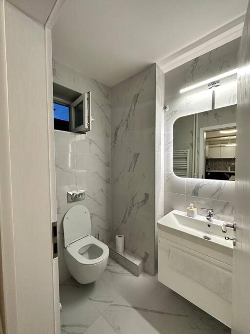 Ultracentral Luxury Apartament Timişoara Buitenkant foto