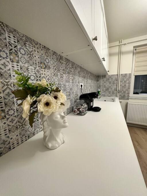 Ultracentral Luxury Apartament Timişoara Buitenkant foto